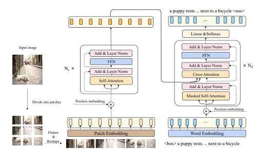 图像描述 | CPTR：用于图像描述的全 Transformer 网络 - 智源社区